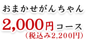 おまかせがんちゃん2,000円コース