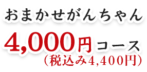 おまかせがんちゃん4,000円コース