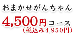 おまかせがんちゃん4,500円コース